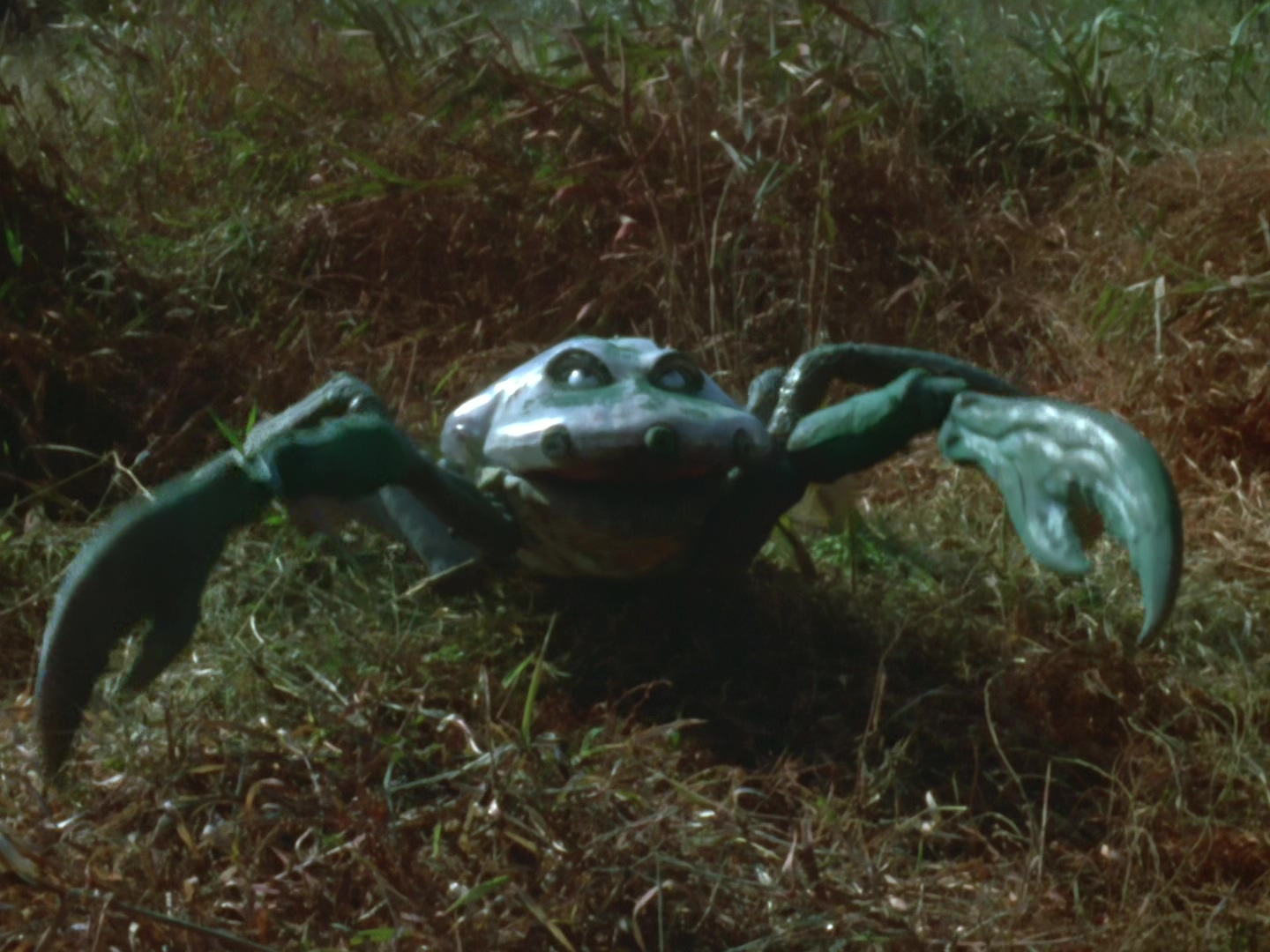 宇宙蜘蛛古蒙加