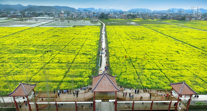 5n">开江县,隶属于 a target="_blank" href="/item/四川省/15626925"