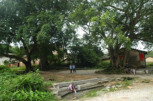 小马村