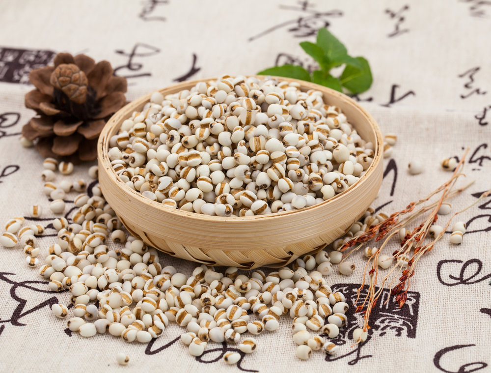 薏米米仁