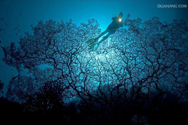  p>班达海(banda sea,印度尼西亚官方文字作laut banda)位于 a target