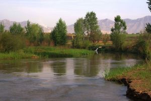 data-lemmaid="153775">河北省 /a>张家口市阳原县东井集镇下辖的一个