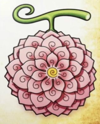  p>花花果实(フルール)是《 a href="#" data-lemmaid="75861">航海王