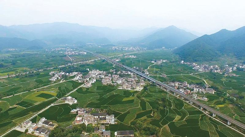  p>张溪香芋, a target="_blank" href="/item/广东省/132473" data
