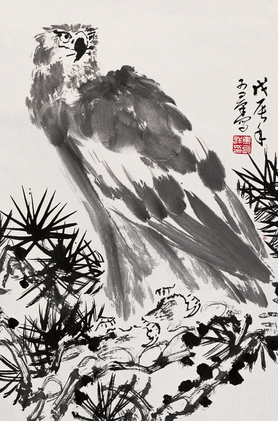 焦可群