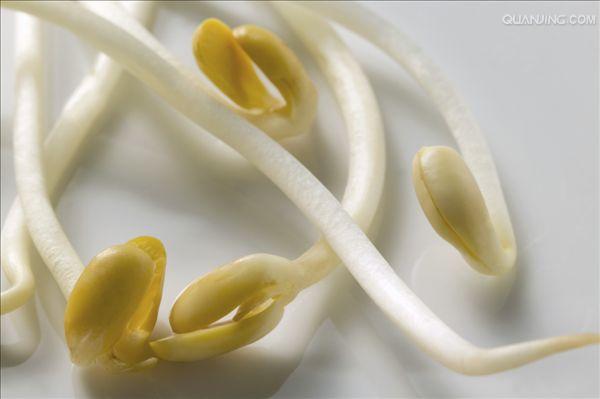 豆芽