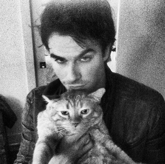 伊恩·萨默海尔德