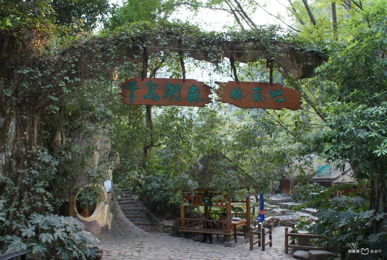  p>千岛湖森林氧吧位于 a target="_blank" href="/item/千岛湖/32892