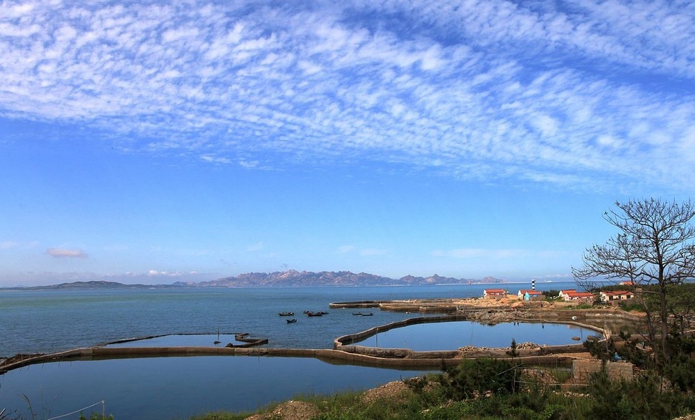 1b4">斋堂岛,位于山东省 a target="_blank" href="/item/青岛/60244"