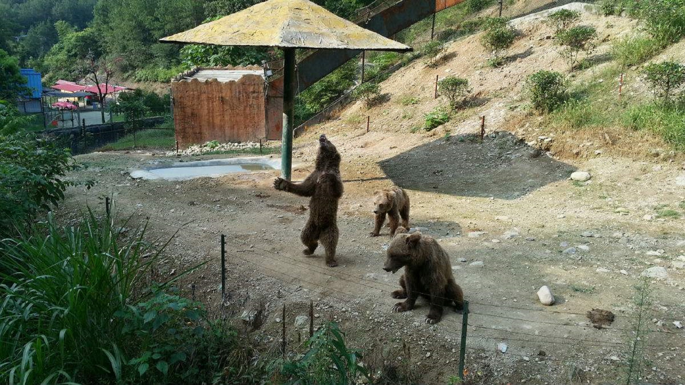 浙江金华动物园