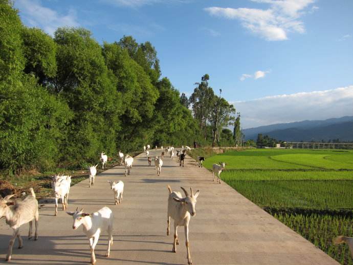 白龙村