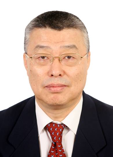 王元（中国科学技术发展战略研究院原常务副院长）_百度百科