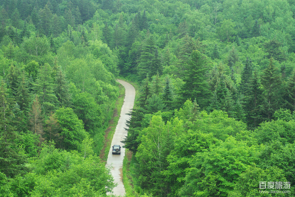  p> b>小兴安岭原始森林公园 /b>,位于 a target="_blank" href="