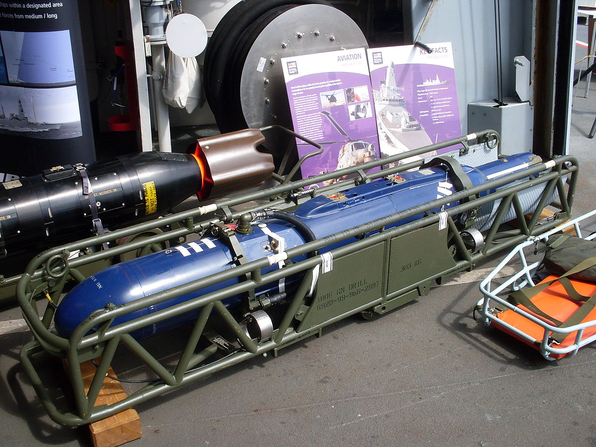 "海鸥"空对舰导弹