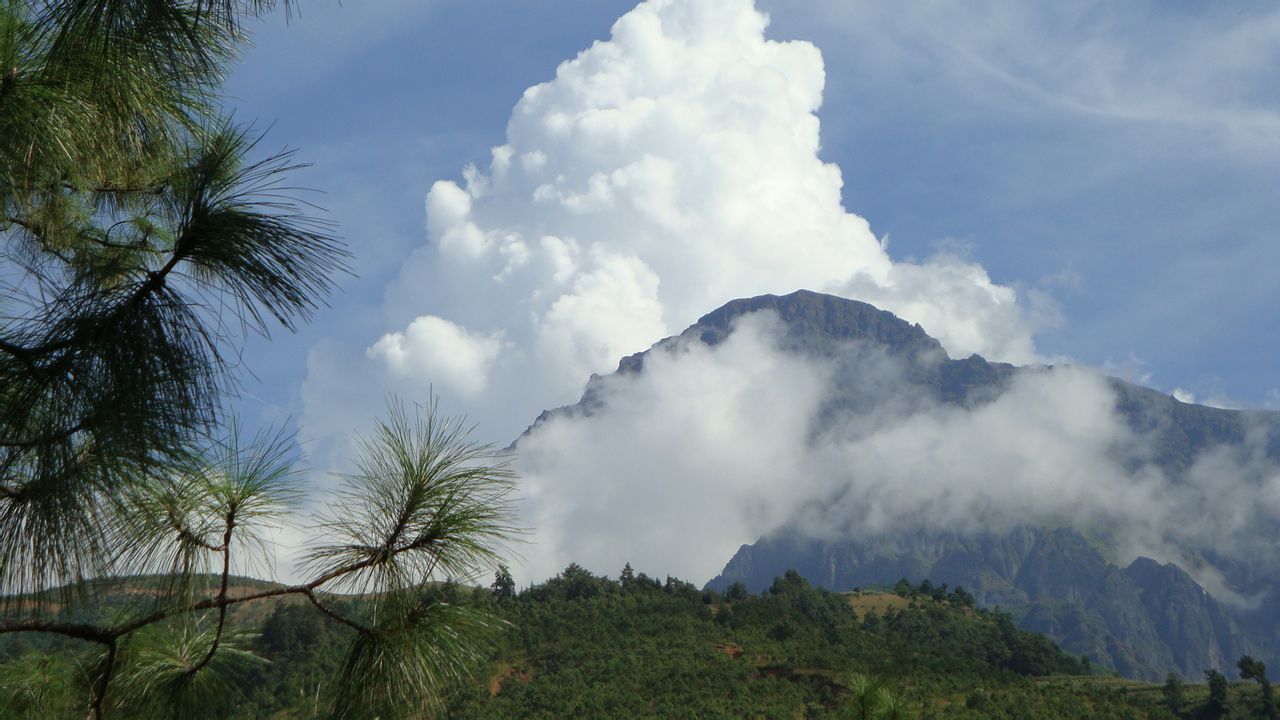 牯牛山