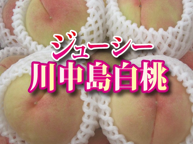 川中岛白桃是一种原产于日本<a target="