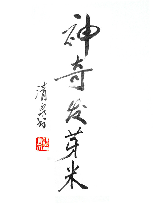  p>"发丫红"发芽糙米由中国杂交水稻之父袁隆平院士领衔的研究团队