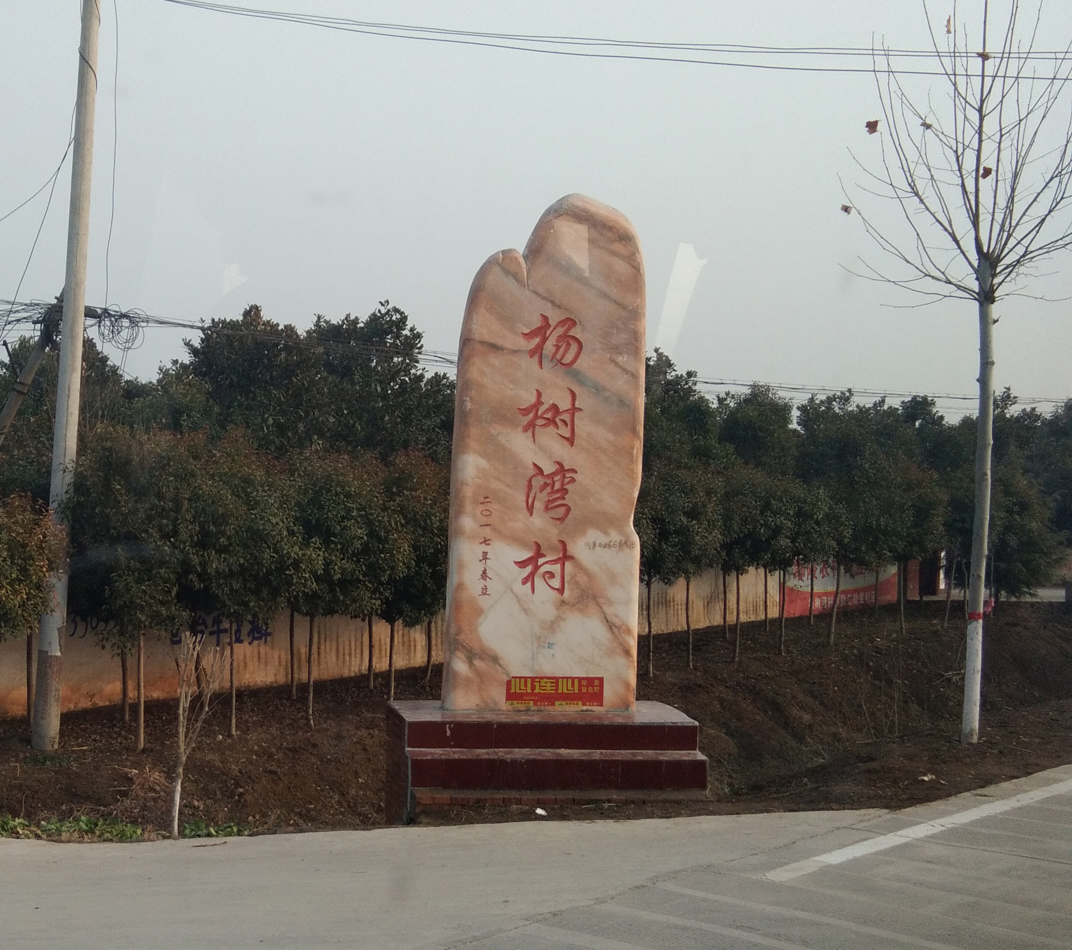 杨树湾村