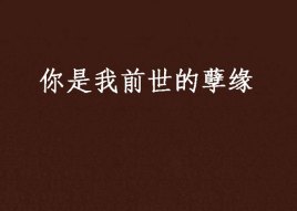 你是我前世的孽缘