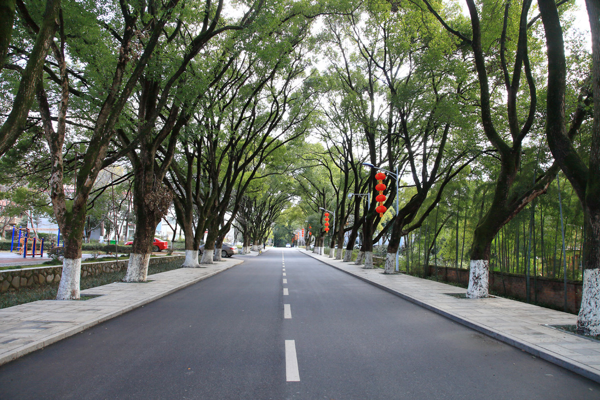 江西省林业科学院
