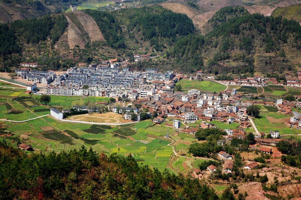 遂昌金竹村,遂昌金竹_大山谷图库