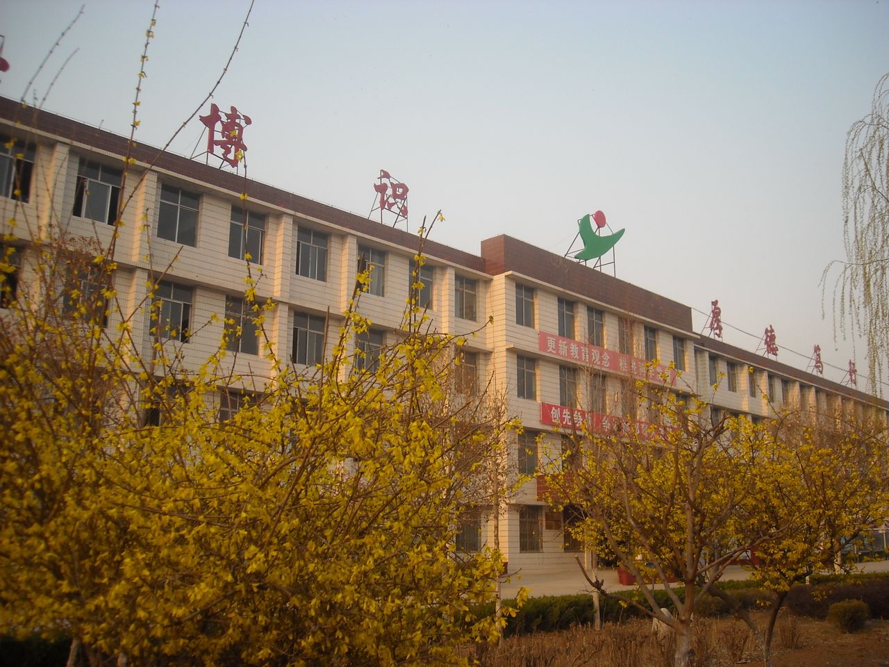 肥城市仪阳中学