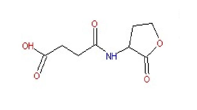 高丝氨酸