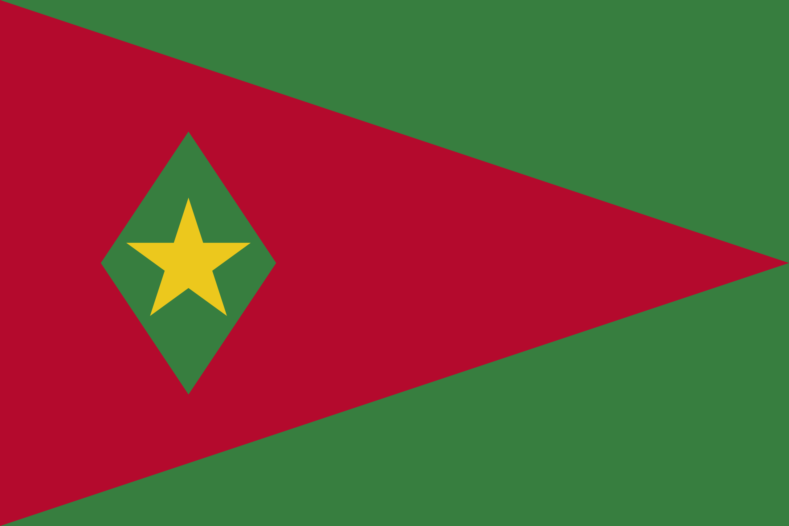 苏里南共和国国旗