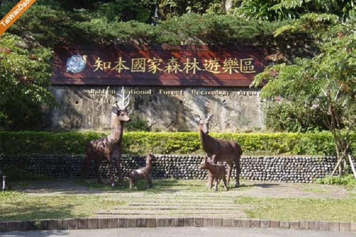 知本国家森林游乐区