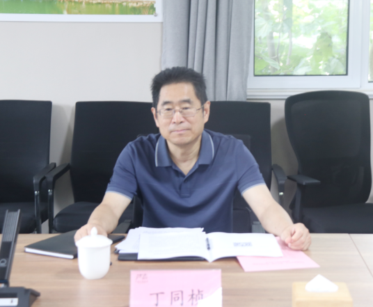 丁同桢_百度百科