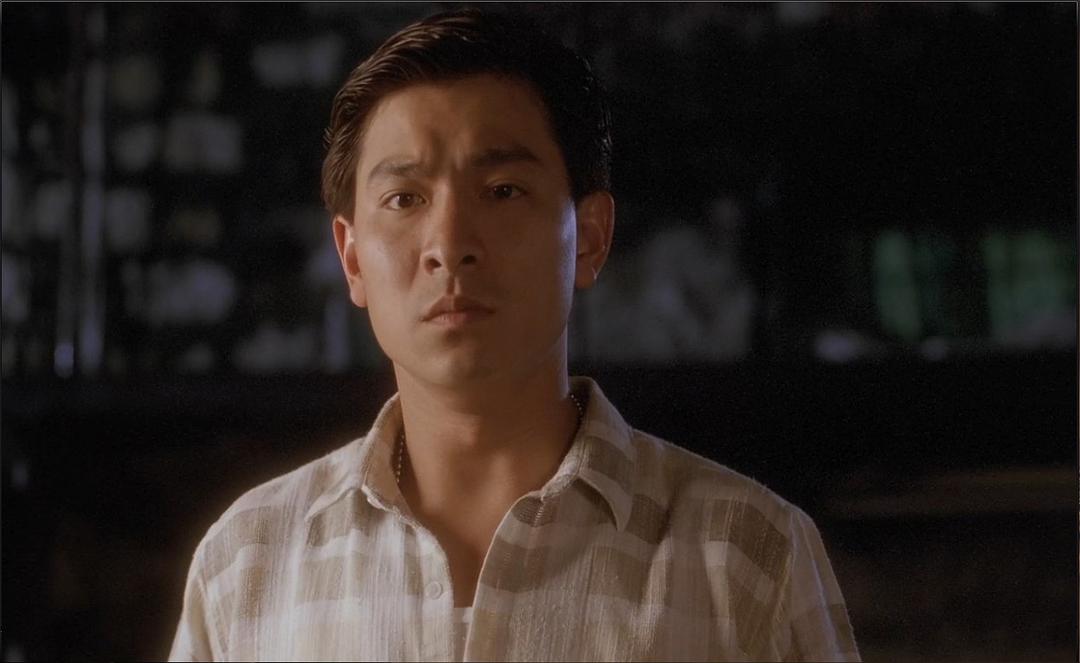 五亿探长雷洛传之雷老虎