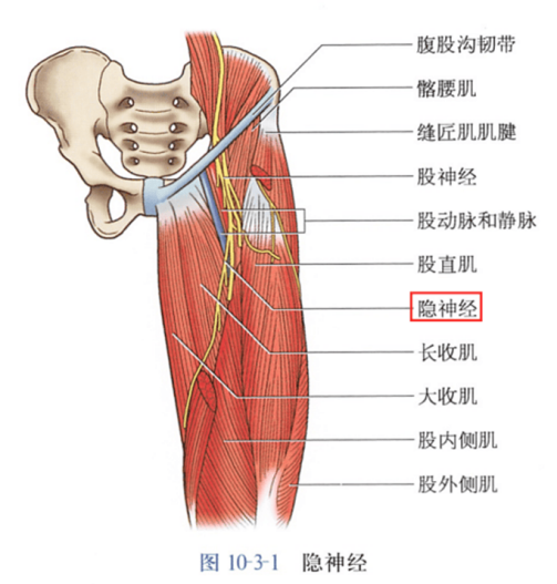 隐神经_百度百科