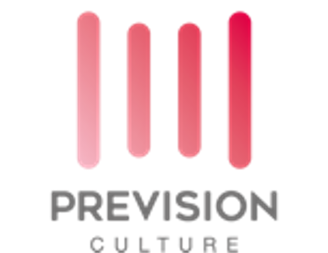 浙江视通文化传播有限公司