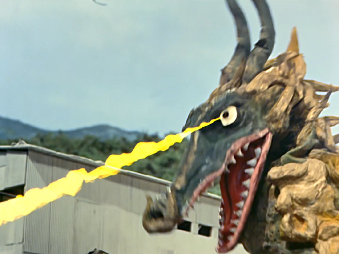 多通戈 全网资源