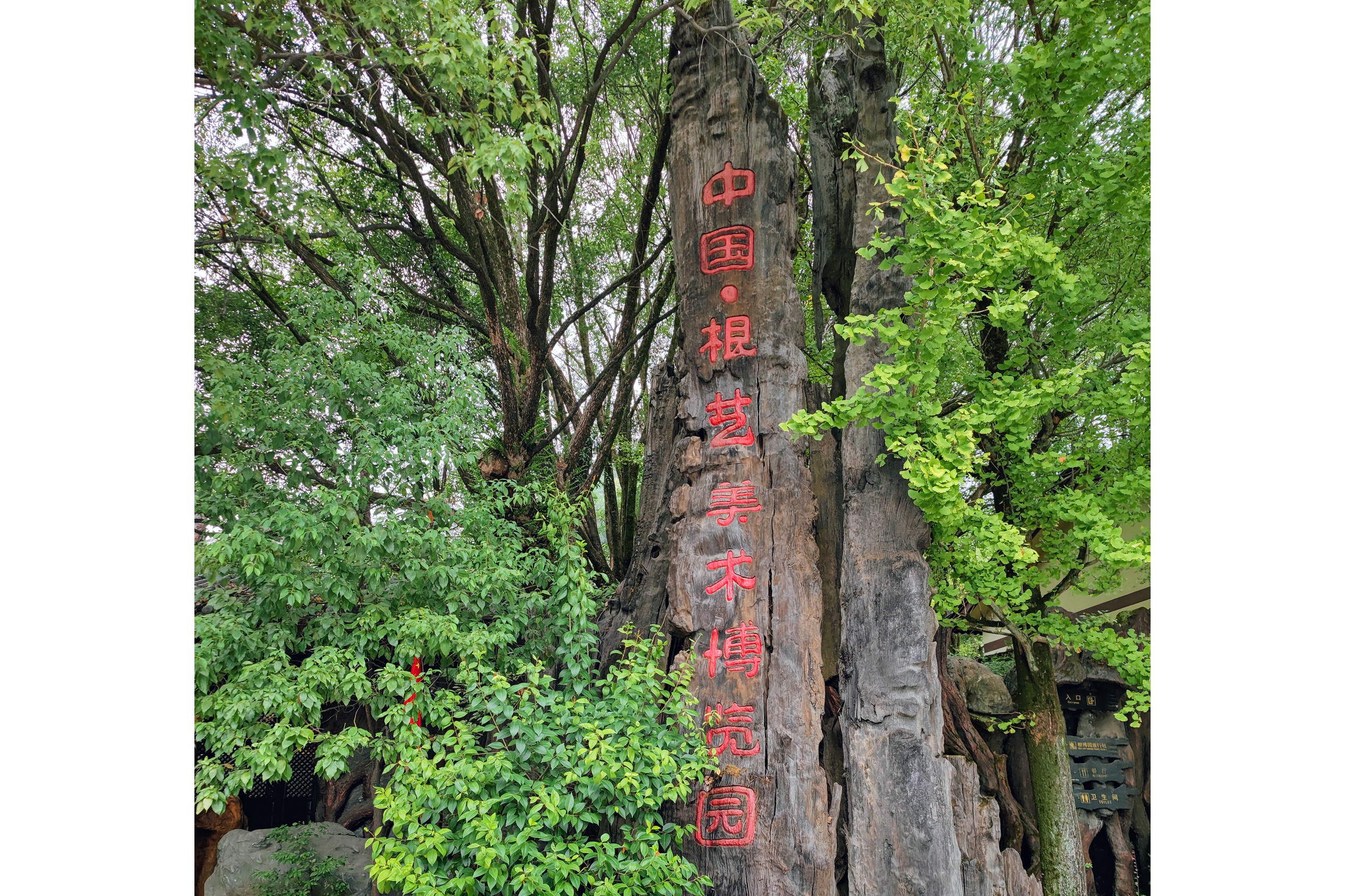 中国根艺美术博览园