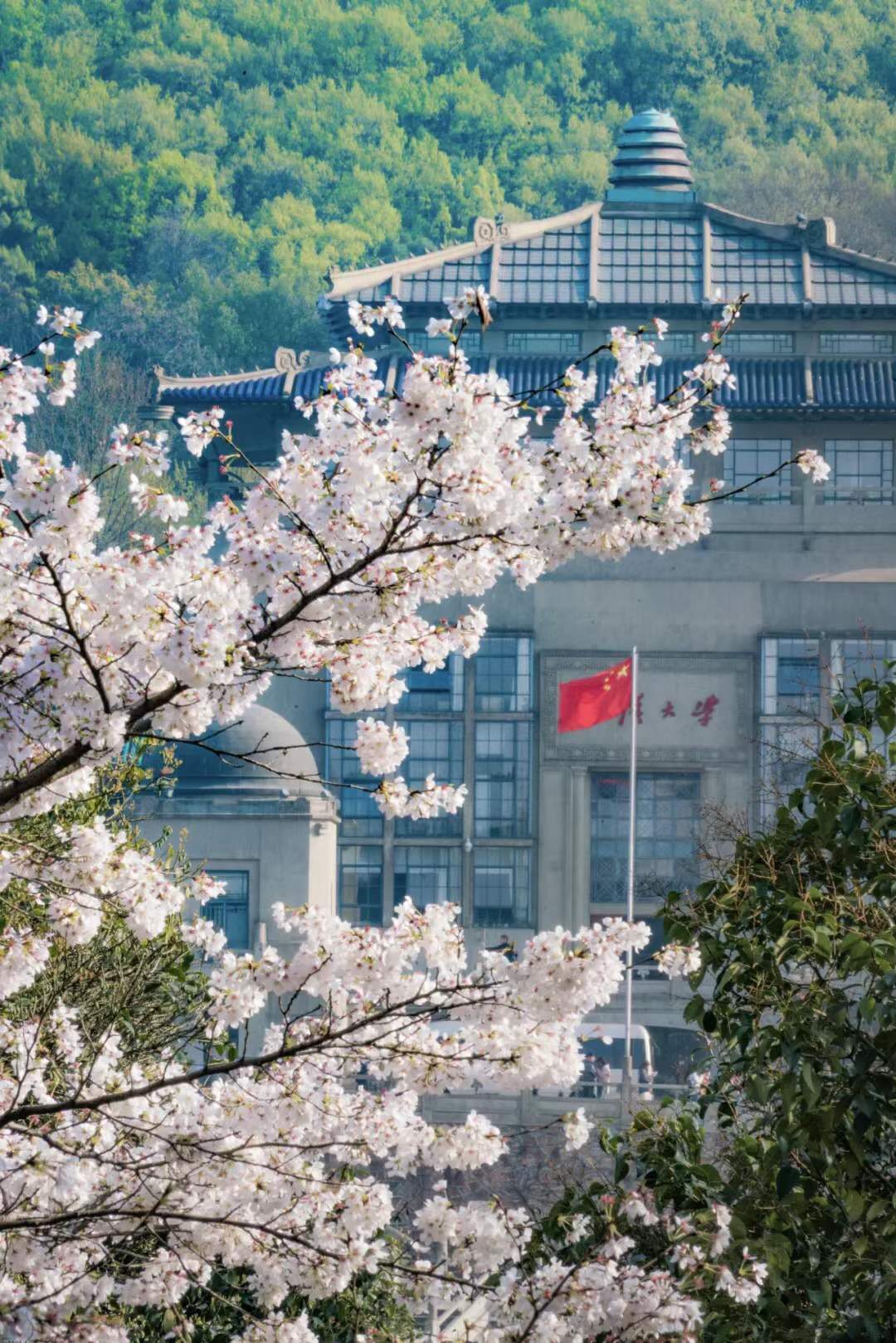 武汉大学