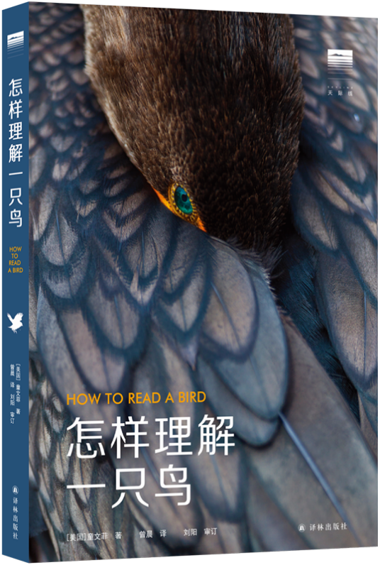 怎样理解一只鸟_百度百科