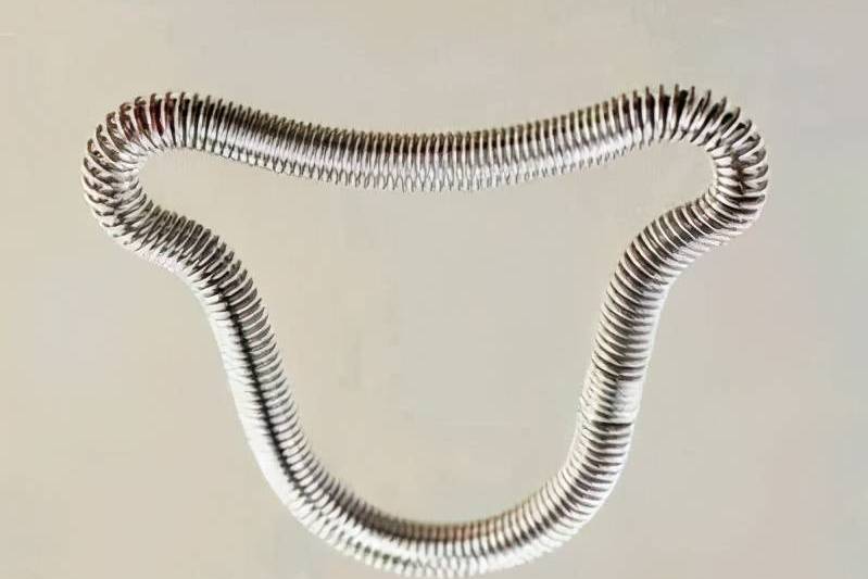 母体乐-铜宫内节育器