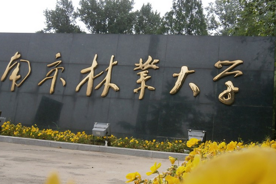 南京林业大学南方摄影学院