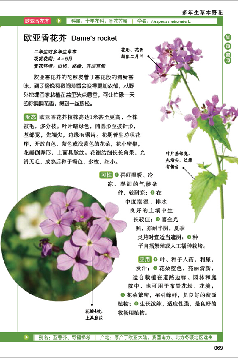  p data-id="gn2ufsebfb">图文并茂地介绍了190种野生花卉 近500幅高