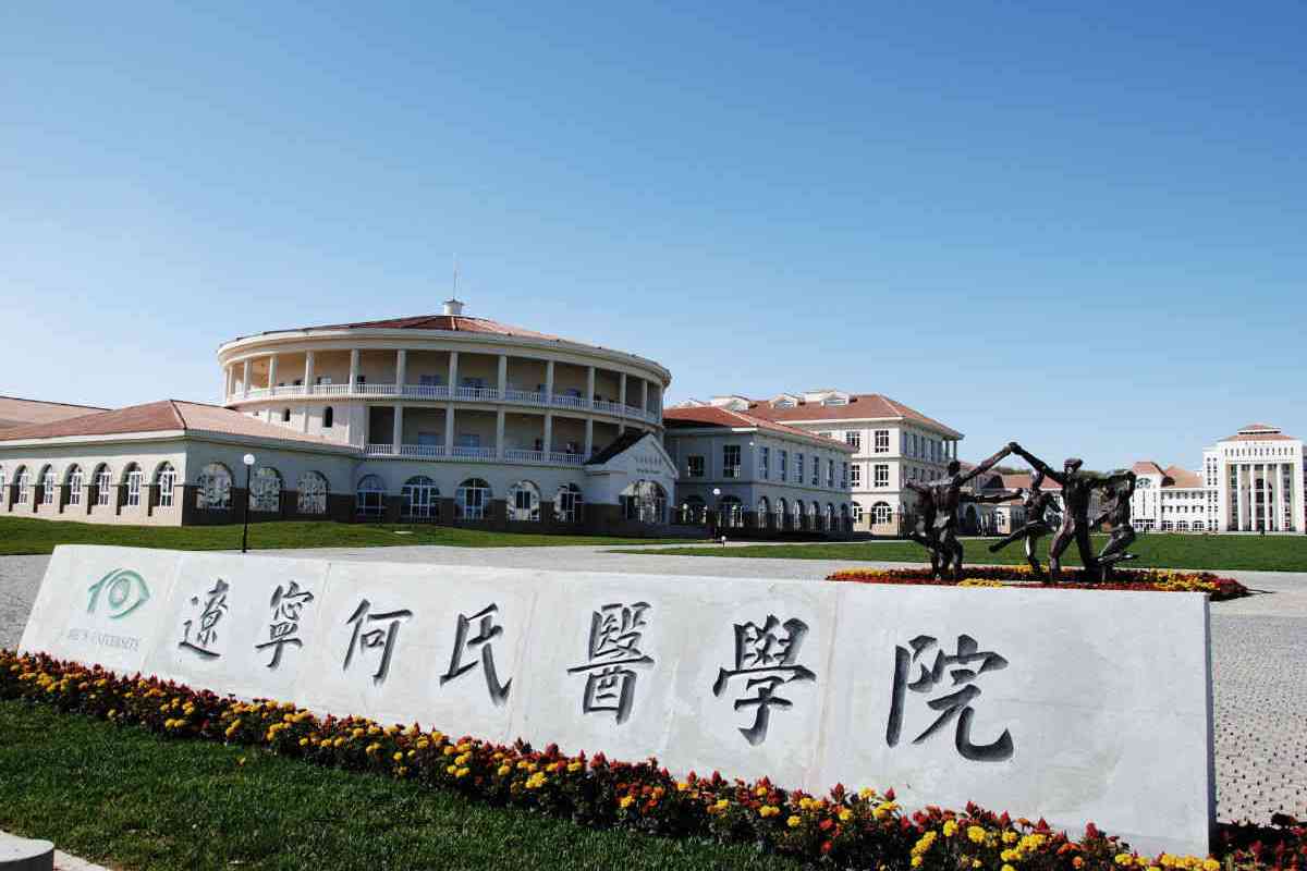 辽宁何氏医学院艺术学院