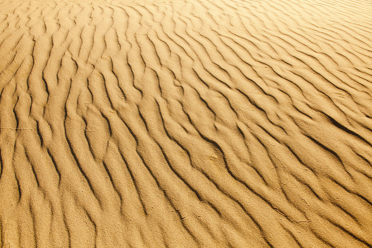  p>风成波痕(wind ripples)是指风作用于沉积物表面而形成的一种 a
