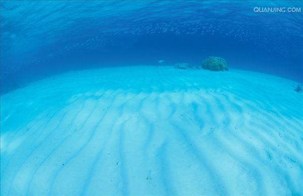 海底沙漠
