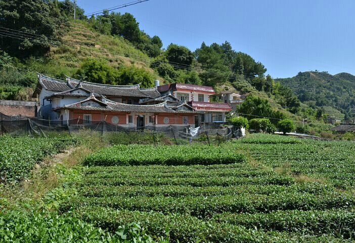  p>祥泉村位于安溪县长坑乡西南部,距长坑乡政府5公里,东与蓝田水库上