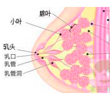  p>乳腺炎疾病是乳房的急性化脓性 a target="_blank" href="/item
