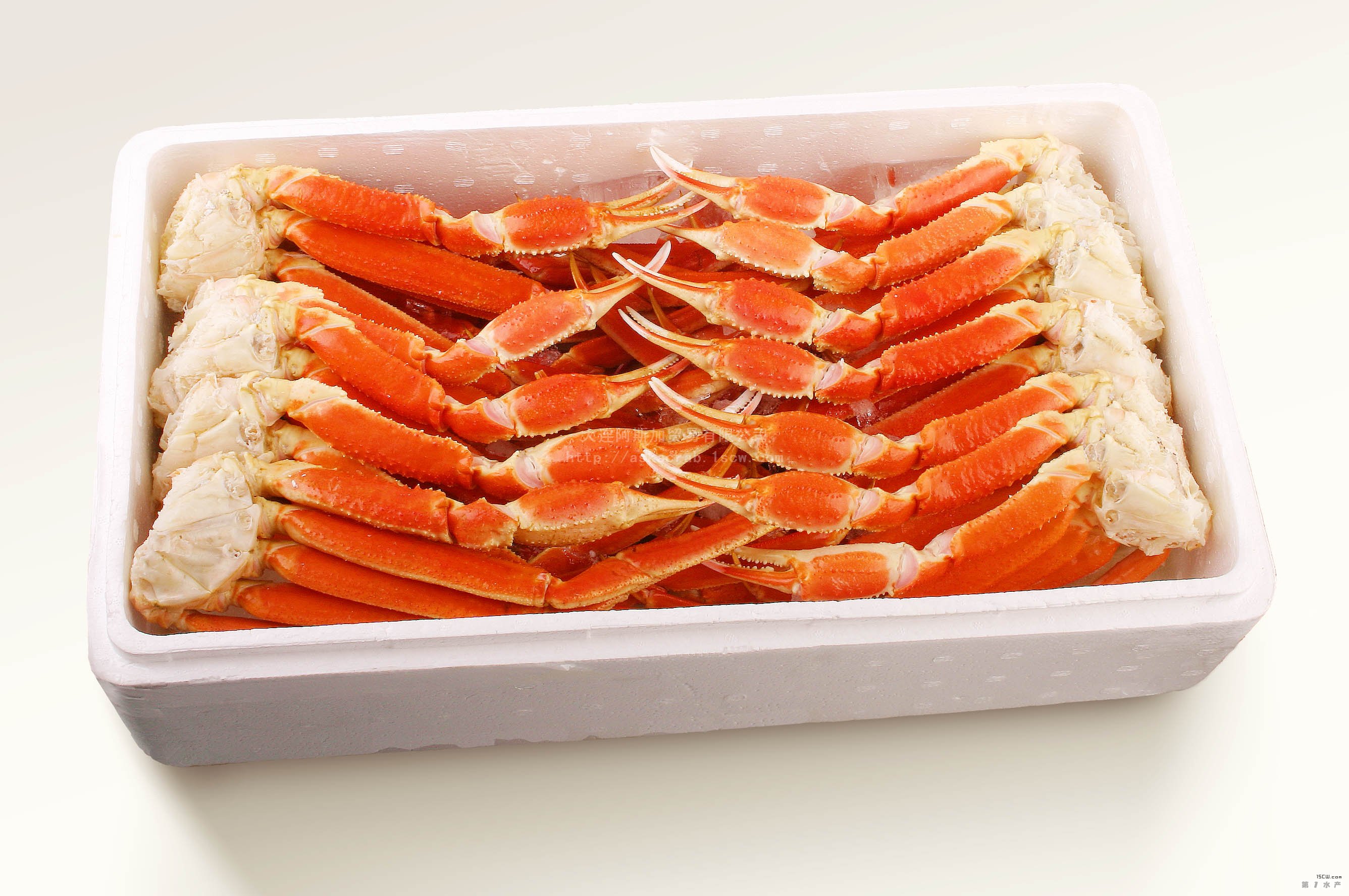  p>雪蟹:学名:灰眼雪蟹(科学命名):chionoecetes opilio, chionoece