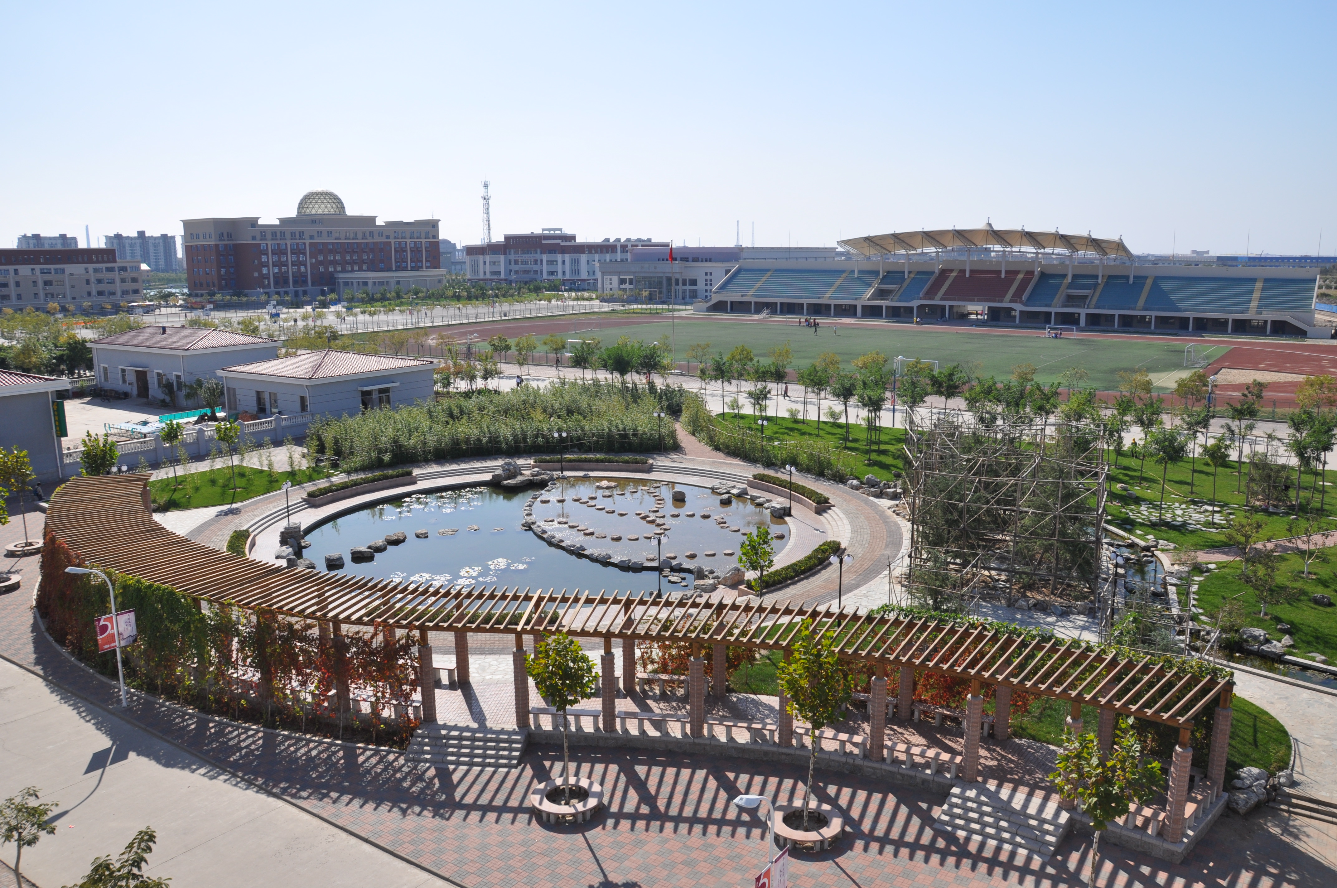 南开大学大学滨海学院