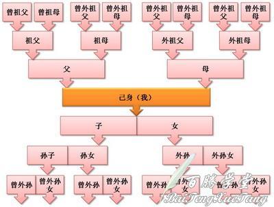 血缘关系（生物学名词）_百度百科