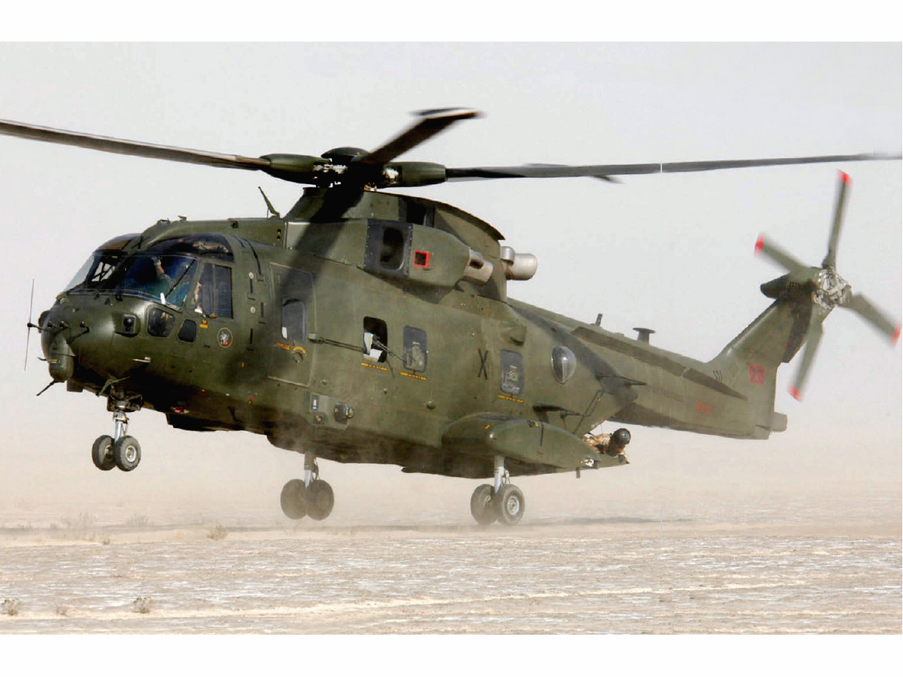 译文:灰背隼),是欧洲阿古斯塔·维斯特兰公司研制的一种多用途直升机