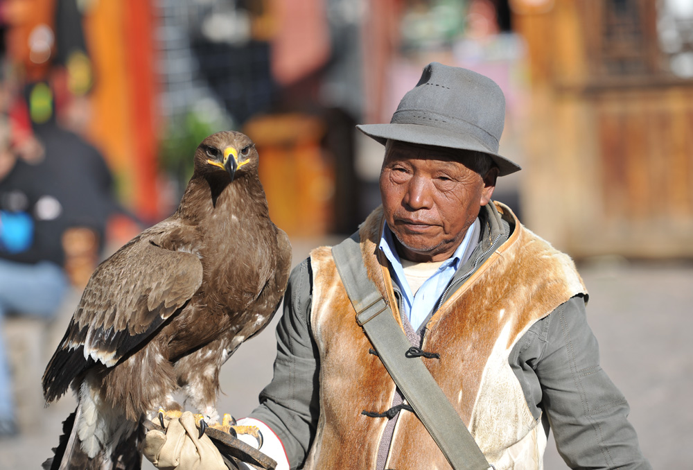  p>熬鹰是老北京话,也做熬大鹰,是训练猎鹰的方式之一.